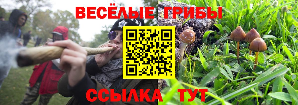 Галлюциногенные грибы GOLDEN TEACHER Мирный